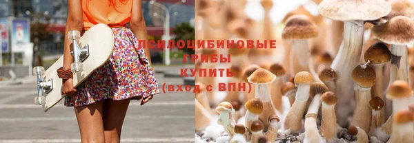 амфетамин Каменногорск