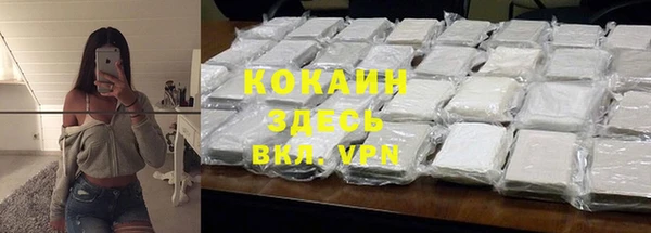 молекула духа Алексин