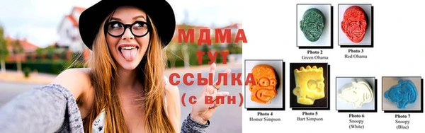 крисы Каменка